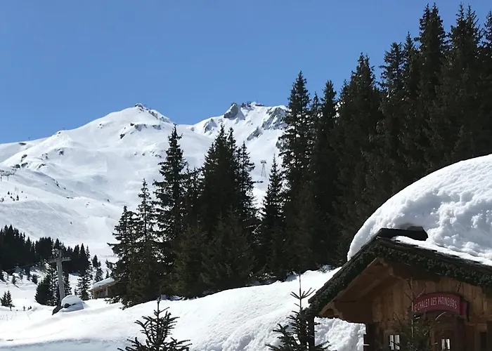 Coq De Bruyere Courchevel